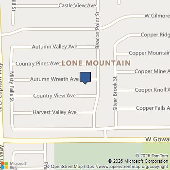 8709 Autumn Wreath Avenue Las Vegas, NV MLS# 2750051