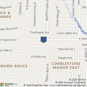 1424 Heather Grove Avenue North Las Vegas, NV MLS# 2776305
