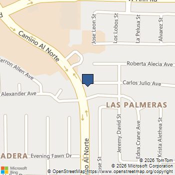 733 Carlos Julio Avenue North Las Vegas, NV MLS# 2772105