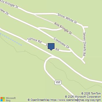 310 Echo Road Mount Charleston, NV MLS# 2765753