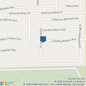 3213 Carefree Beauty Avenue North Las Vegas, NV MLS# 2759922