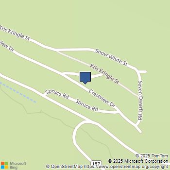 306 Crestview Drive Mount Charleston, NV MLS# 2661626