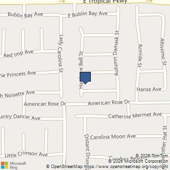 3204 Denvers Dream Avenue North Las Vegas, NV MLS# 2757607