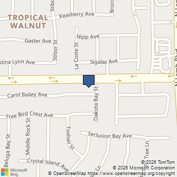 4128 Carol Bailey Avenue North Las Vegas, NV MLS# 2807959