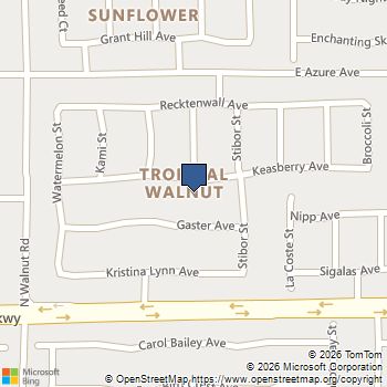 4021 Keasberry Avenue North Las Vegas, NV MLS# 2803795