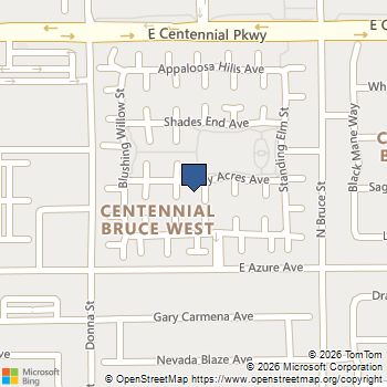 1023 Sunny Acres Avenue North Las Vegas, NV MLS# 2820027