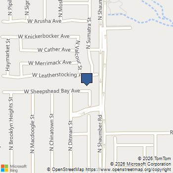 10612 Sheepshead Bay Avenue Las Vegas, NV MLS# 2802001