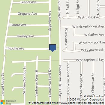 10909 Chipotle Avenue Las Vegas, NV MLS# 2819508