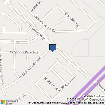 4013 Gliding Gulls Avenue North Las Vegas, NV MLS# 2744893