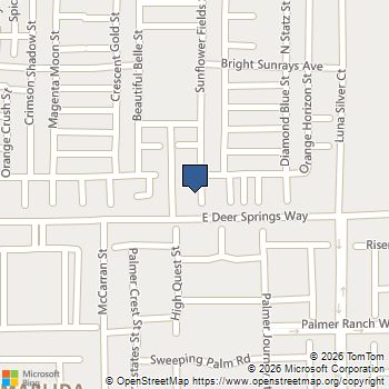 6811 Dark Gunmetal Court North Las Vegas, NV MLS# 2789378