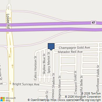 7030 Spicy Merlot Street North Las Vegas, NV MLS# 2804437
