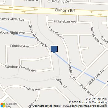 7028 Geese Gathering Street North Las Vegas, NV MLS# 2829372