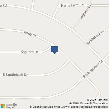 1541 Saguaro Lane 3 Pahrump, NV MLS# 2825974