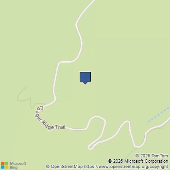 APN 128-07-410-001 Mount Charleston, NV MLS# 2741362