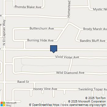 8620 Vivid Violet Avenue Las Vegas, NV MLS# 2738502