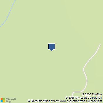 APN 128-07-201-017 N Fork Deer Creek Mount Charleston, NV MLS# 2741359