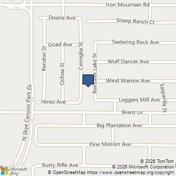 8917 Reindeer Lake Street Las Vegas, NV MLS# 2784963