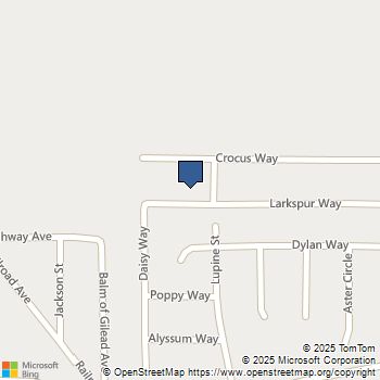 13722 Larkspur Way Armona, CA MLS# 240028727SD