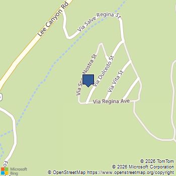 2130 Via Spes Nostra Street Mount Charleston, NV MLS# 2741361