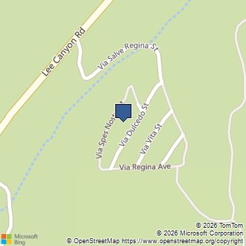 2162 Via Spes Nostra Street Mount Charleston, NV MLS# 2773941