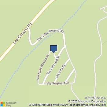 2194 Via Spes Nostra Street Mount Charleston, NV MLS# 2639737