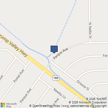 590 W Parque Avenue Pahrump, NV MLS# 2568663