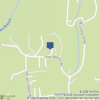 130 Lewis Blevins Road Elizabethton, TN MLS# 9989114