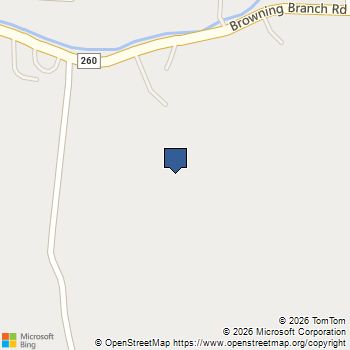 5335 Browning Branch Rd Bethpage, TN MLS# 3154725