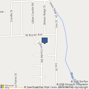 664 Lillian Condie Road Overton, NV MLS# 2827587
