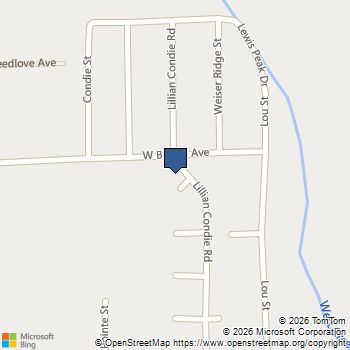 478 Hank Circle Overton, NV MLS# 2800416