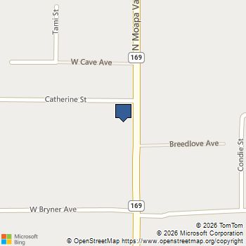 735 Catherine Avenue Overton, NV MLS# 2632123