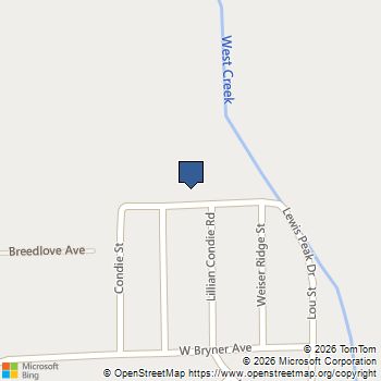 516 White Domes Drive Overton, NV MLS# 2716939