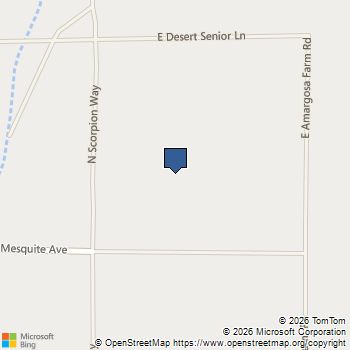 2850 E Mesquite Street Amargosa Valley, NV MLS# 2758501