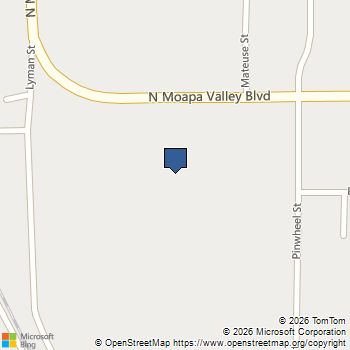 1967 N Moapa Valley Boulevard Logandale, NV MLS# 2749428