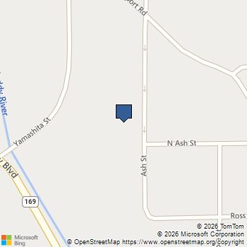 0 Ash And Diane Overton, NV MLS# 2681485