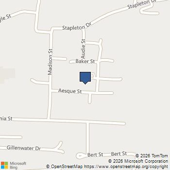 229 Aesque Street Kingsport, TN MLS# 9998758