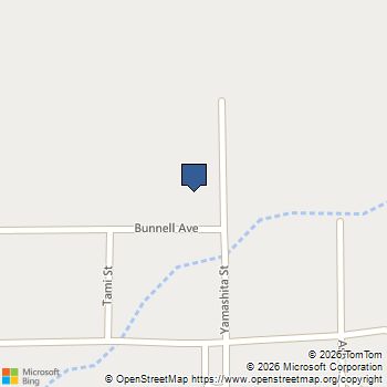 Yamashita 041-26-601-007 Logandale, NV MLS# 2750918