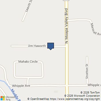 1951 Jim Haworth Court Logandale, NV MLS# 2697620