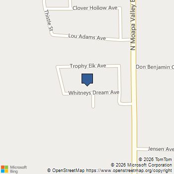 1998 Whitneys Dream Avenue Logandale, NV MLS# 2816025