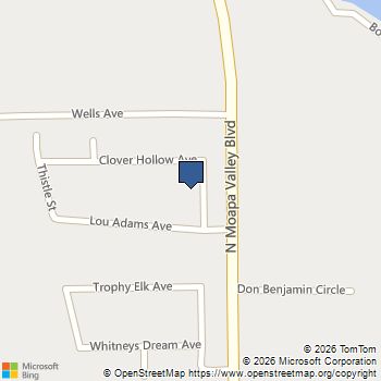 1945 Clover Hollow Avenue Logandale, NV MLS# 2752467