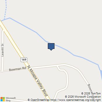 1920 Bowman Road Logandale, NV MLS# 2811110