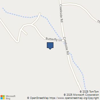 46918 Creekside Road Squaw Valley, CA MLS# FR25247079