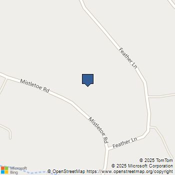 37180 Mistletoe Road Squaw Valley, CA MLS# FR25180621