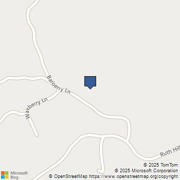 37799 Barberry Ln Squaw Valley, CA MLS# FR25237597