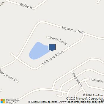 416 Mishannock WAY Chesapeake, VA MLS# 10658133