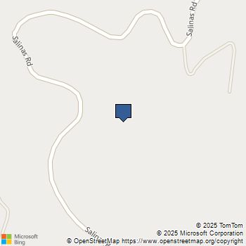 Salinas Road San Juan Bautista, CA MLS# ML82027378