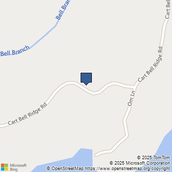 4-7 Cart Bell Ridge Road Monticello, KY MLS# 20116357