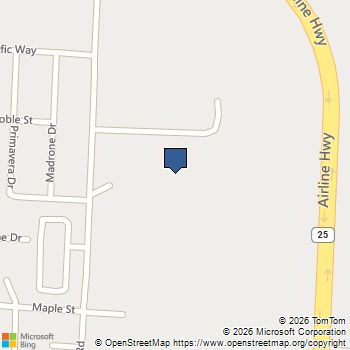 360 Walk About Way Hollister, CA MLS# ML82031591