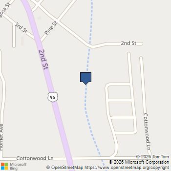 0 Cottonwood Beatty, NV MLS# 2793659