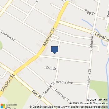 208 Laurent Street Santa Cruz, CA MLS# ML81955577